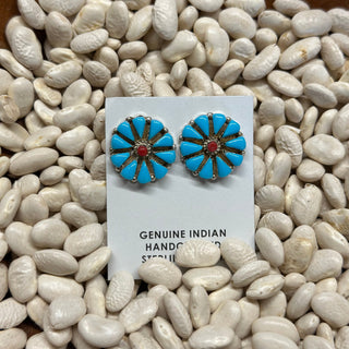 The Clovis Cluster Studs