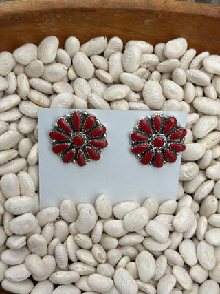 The Coral Cluster Studs