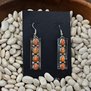 The Pawnee Multi Stone Earrings
