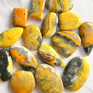 Bumblebee Jasper