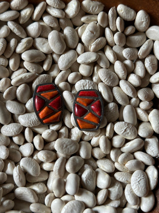 The Arizona Ears
