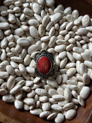 The Sahara Ring