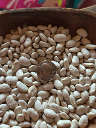The Buffalo Nickel Ring