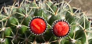 The Sadie’s-Studs-The Wild Horse Co.-The Wild Horse Co. Women's Native American Jewelry in Washington, OK.