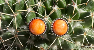 The Sadie’s-Studs-The Wild Horse Co.-The Wild Horse Co. Women's Native American Jewelry in Washington, OK.