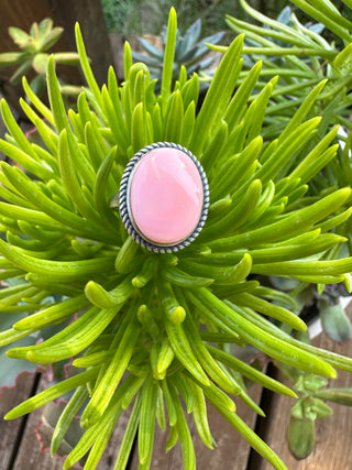 The Pink Conch Ring-The Wild Horse Co.-The Wild Horse Co. Women's Native American Jewelry in Washington, OK.