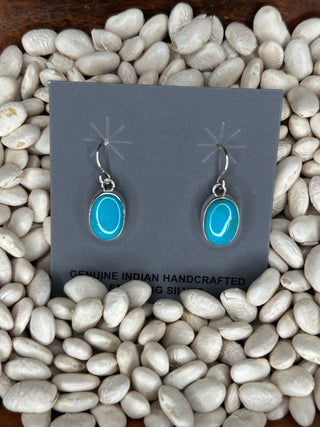 The TS Earrings