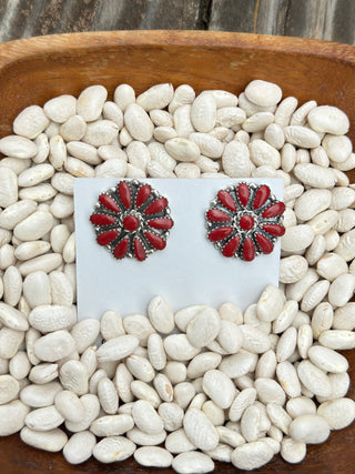 The Coral Cluster Studs