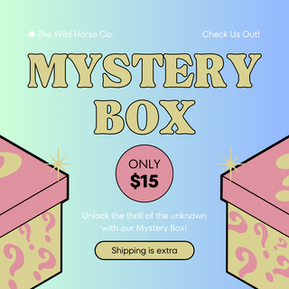 Mystery Box-The Wild Horse Co.-The Wild Horse Co. Women's Native American Jewelry in Washington, OK.