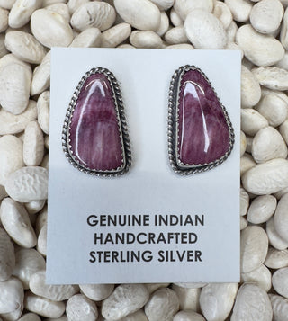 The Purple Spiny Studs