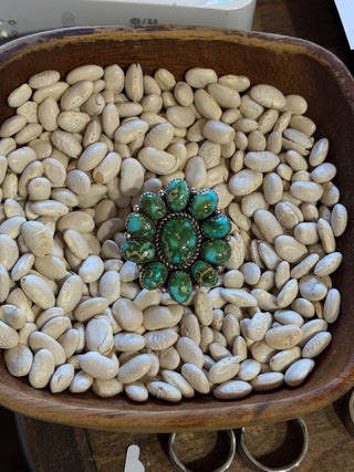 The Santor Cluster Ring