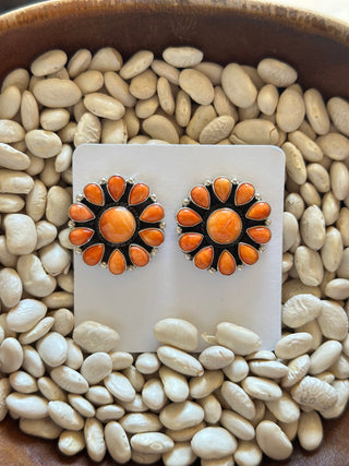 The Mesa Cluster Earrings
