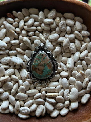 The Rivered Ring