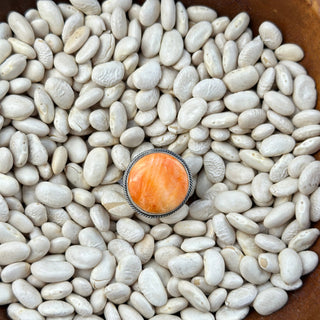 The Stillwater Ring