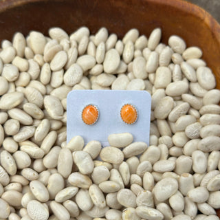 The Mini Spiny Studs