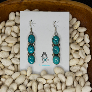 The Etsitty Earrings