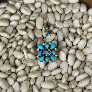 The Taos Cluster Ring