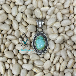 The Benally Sonoran Pendant