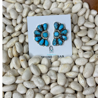 The Taos Half Cluster Studs